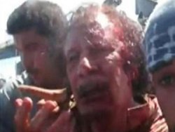 Kaddafi'yi yakalayan militan öldürüldü