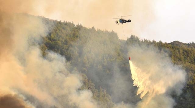 Suriye'de çıkan yangın Türkiye'ye sıçradı