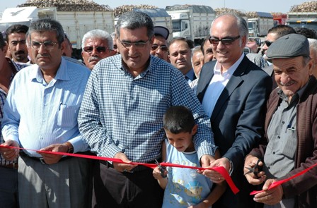 Çumra'da pancar alımı başladı