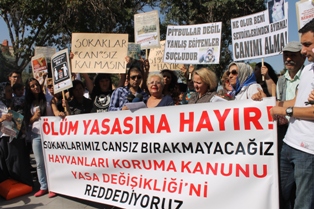 Sokak hayvanları için bir araya geldiler