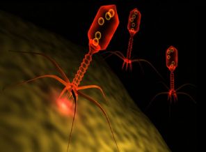 Biyolojik internete doğru ilk adım