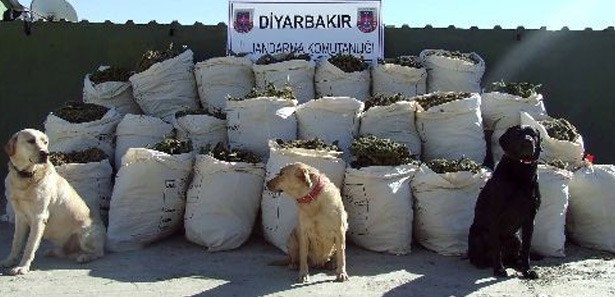 PKK'ya bir darbe daha