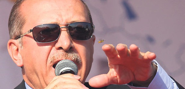Başbakan Erdoğan'ın arıyla imtihanı!