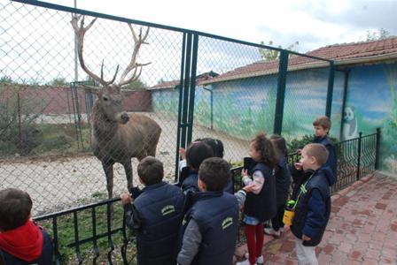 Uygulamalı hayvanları tanıma dersi