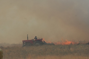 Çiftçiye 43 bin liralık ceza
