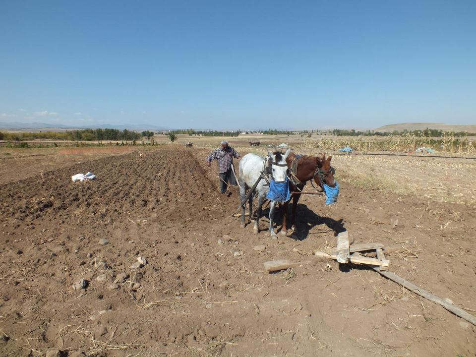 Petrol zammı umurunda değil ama!