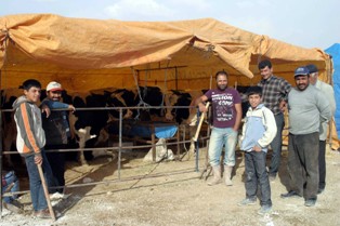 Konya'da kurban pazarında cazip kampanya