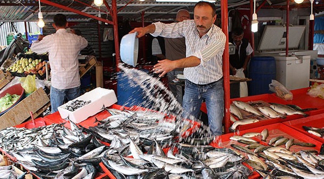 Palamut Gidiyor Hamsi Geliyor