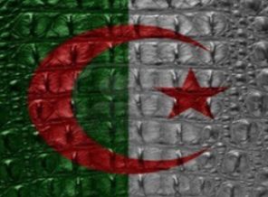 Cezayir, Fransa'dan özür bekliyor