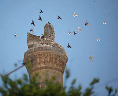 Suriye'de sözde ateşkes: 425 ölü