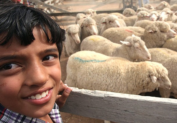 Rakamlarla Kurban Bayramı