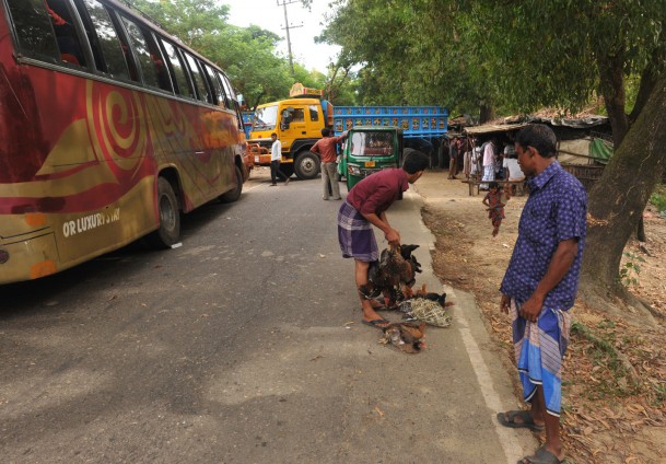 Arakanlıların göç yolu tutuldu