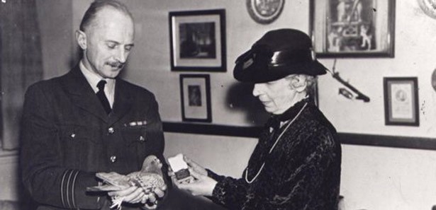 2. dünya savaşı mesajını bugüne taşıdı