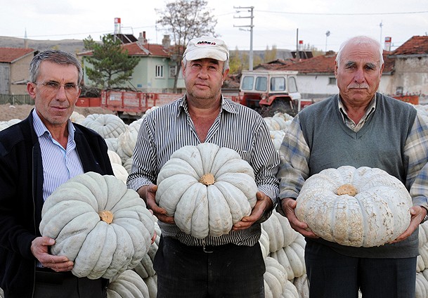 Üreticisine  ''kabak'' tadı verdi