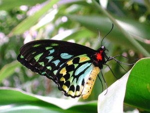 122 yıl sonra geldiler