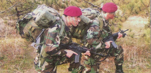 PKK kamplarına 'Bordo' operasyon!