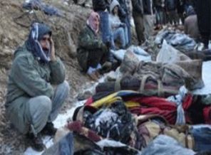 Roboski belgesele konu oldu