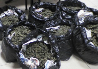 Çiftçi  50 kilo esrarla yakalandı