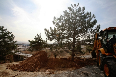 Selçuklu Belediyesi’den örnek çevre duyarlılığı