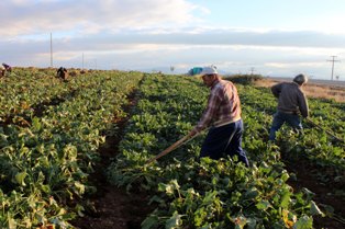 Söküm işçileri mesaiye tekrar başladı