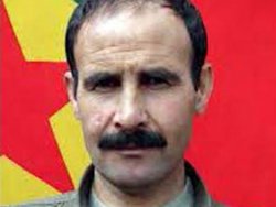 Ağrı'da PKK'ya üst düzey darbe