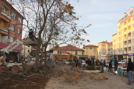 Beyşehir'de çalışmalar tam gaz