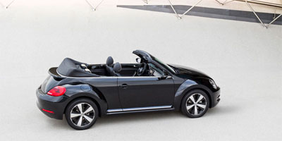 Kaplumbağa'nın özel modeli