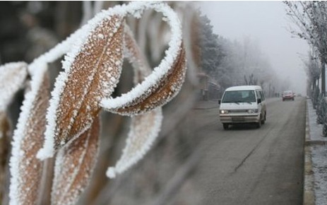 Doğu Anadolu'da soğuk hava