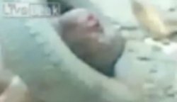 Nijerya'da kan donduran linç görüntüleri