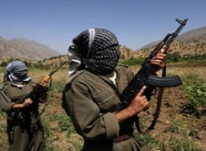 Amanoslar'da PKK'ya büyük darbe!