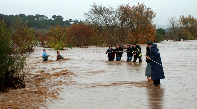 Selden kaçan 3 kişi ağaçta mahsur kaldı