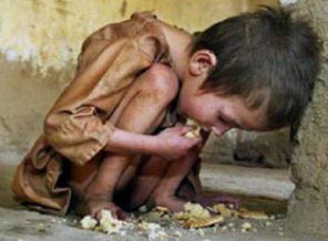 İHH: Gazze'de açlık tehlikeli boyutta