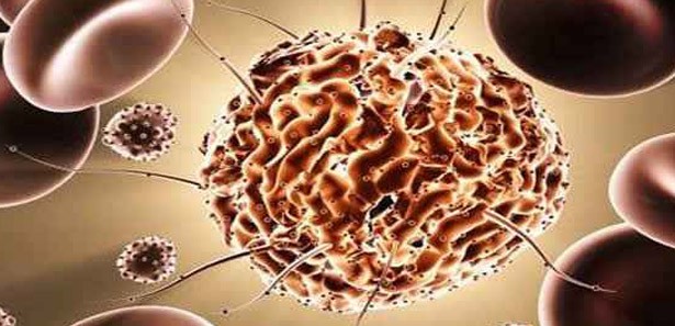 Bilim adamları, kandan kök hücre üretti