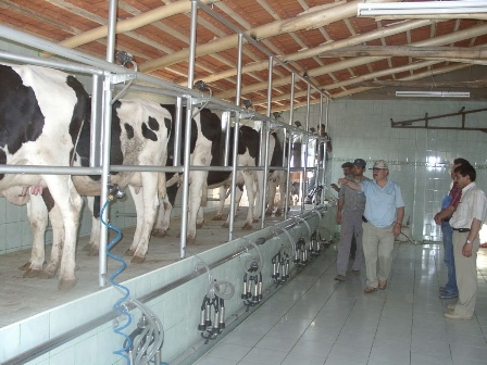 Konya kaliteli sütün merkezi olacak
