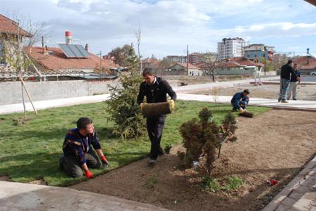 Karatay yeşillendiriliyor