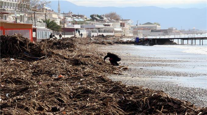 Balık yerine odun tuttular