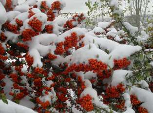 Halkapınar'a yılın ilk karı düştü