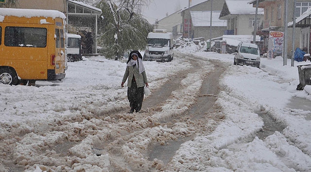 Kar Muş-Kulp Yolunu kapattı