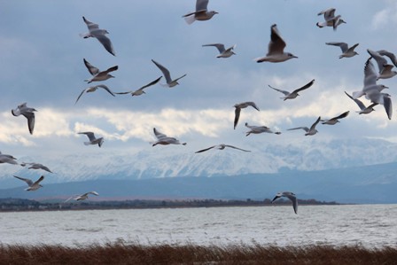 Beyşehir'de kar yağdı