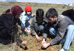 Bin fidan toprakla buluştu