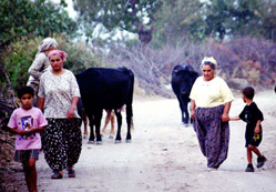 Taşrada yaşanmış gizli aşklar