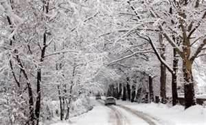 Domates ve kar yiyerek hayatta kaldı