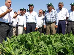 Çiftçiye alternatif ürün tanıtımı