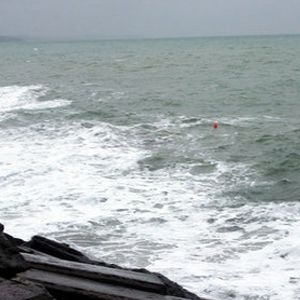 İşadamının cesedi kıyıya vurdu