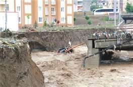 Canları pahasına otomobili tuttular