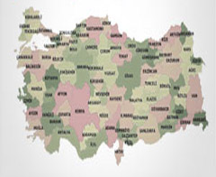 14 ilimiz ekonomide dünyayla yarışıyor