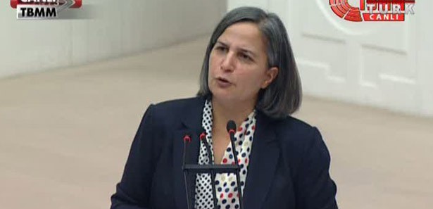 BDP'li Kışanak'tan bütçe tepkisi
