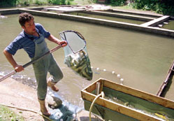 Göl'de av yasağı başladı