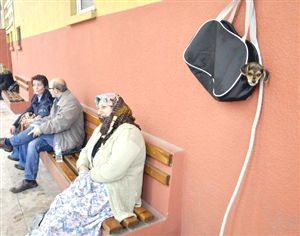 Duvara asılı çantadan yavru köpek çıktı