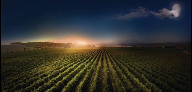 2 bin 500 yeni tarım danışmanı atanacak